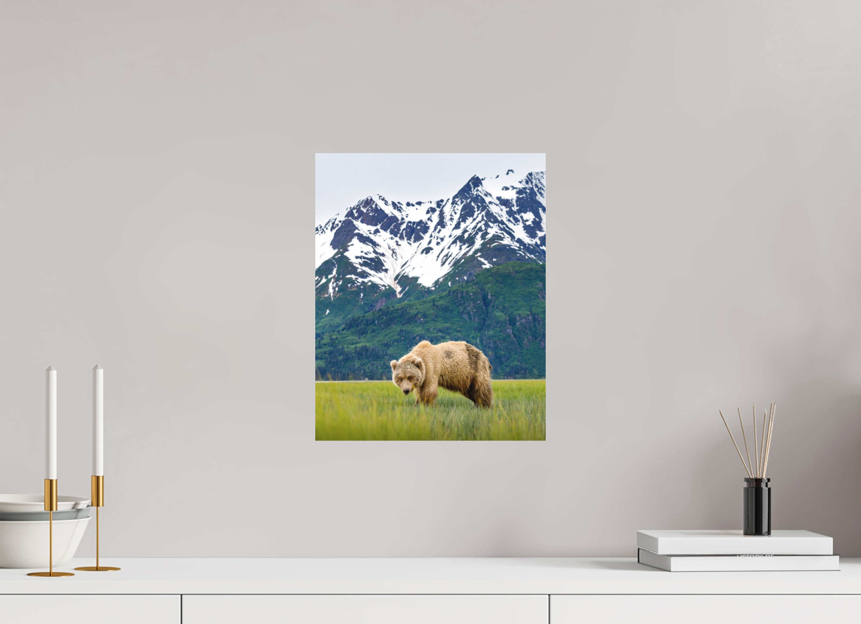 12 x 15″, Matte Photo Print Fuji Crystal DP II Brown Bear Lake Clark Alaska
