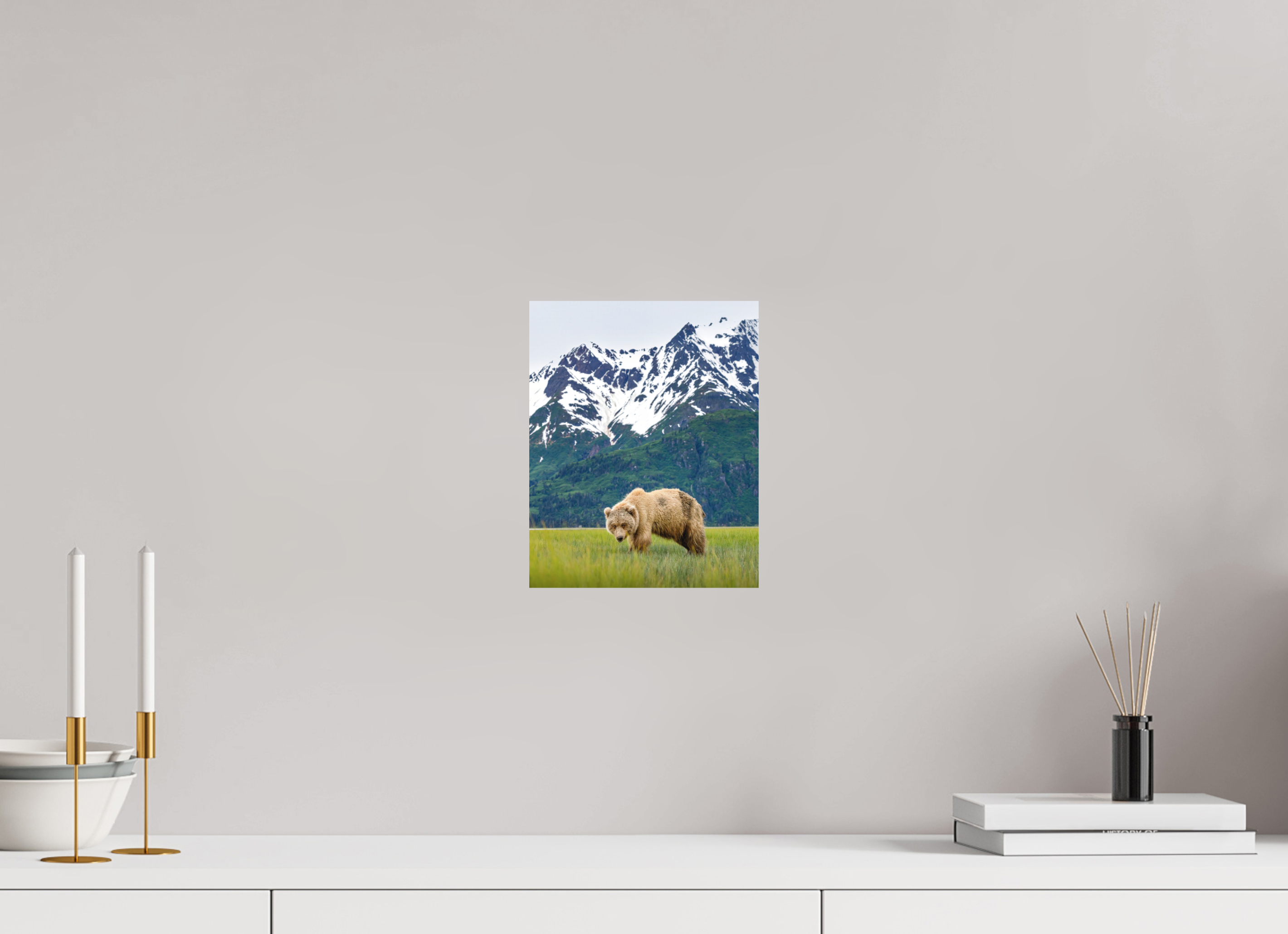 8 x 10″, Matte Photo Print Fuji Crystal DP II Brown Bear Lake Clark Alaska
