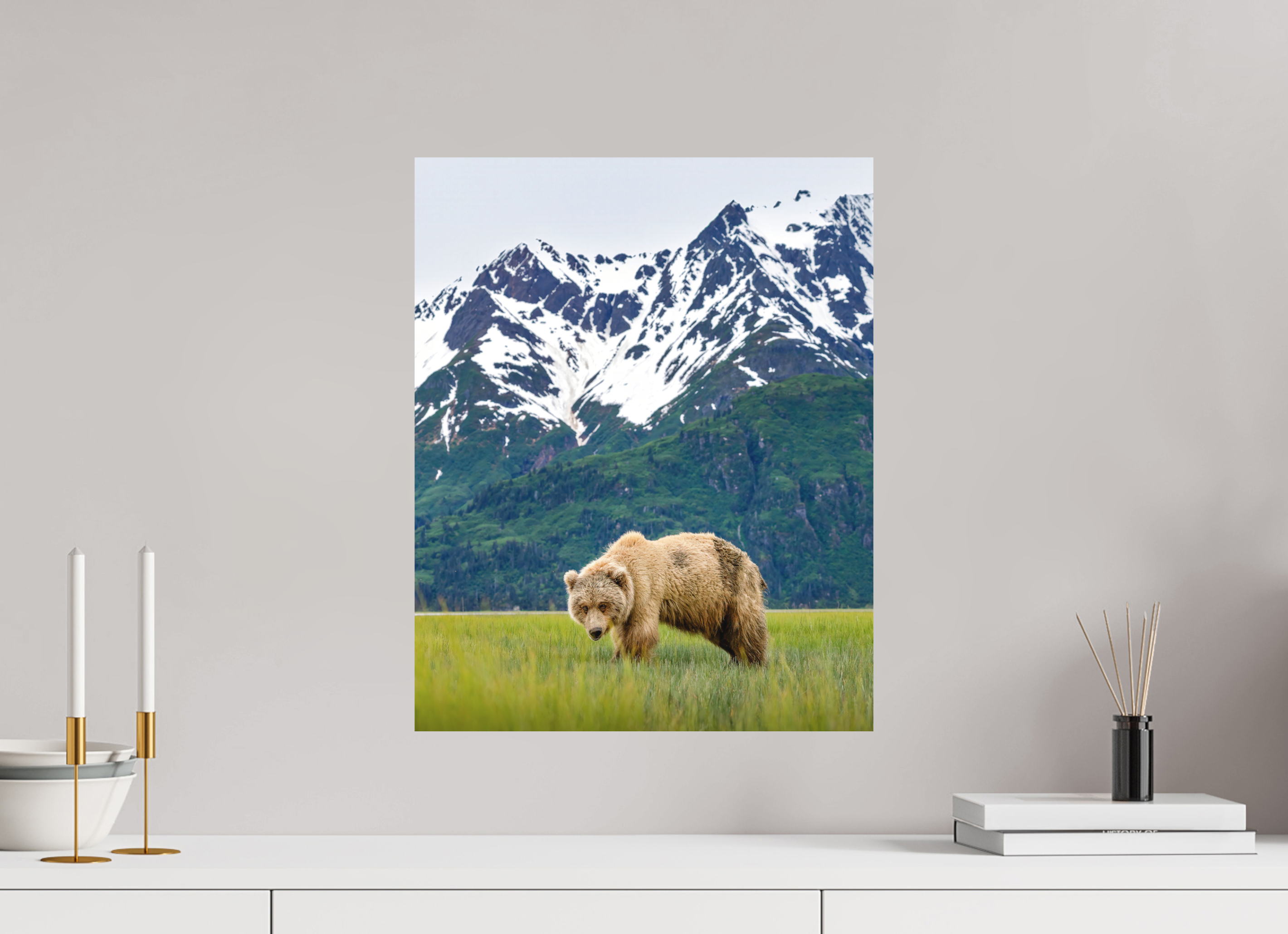 16 x 20″, Matte Photo Print Fuji Crystal DP II Brown Bear Lake Clark Alaska