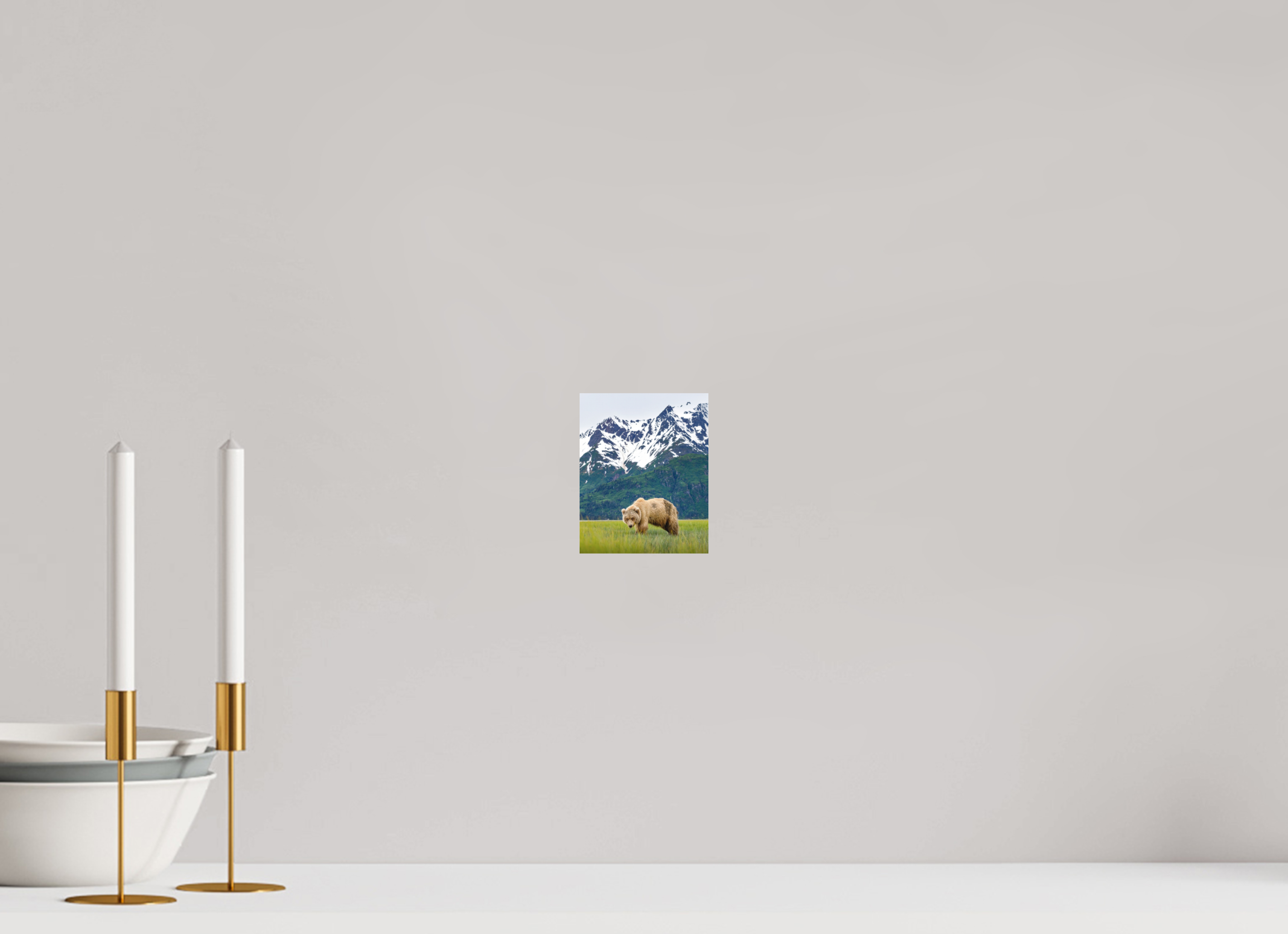 4 x 5″, Matte Photo Print Fuji Crystal DP II Brown Bear Lake Clark Alaska