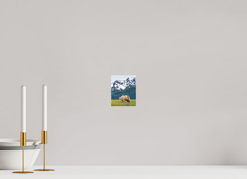 4 x 5″, Matte Photo Print Fuji Crystal DP II Brown Bear Lake Clark Alaska